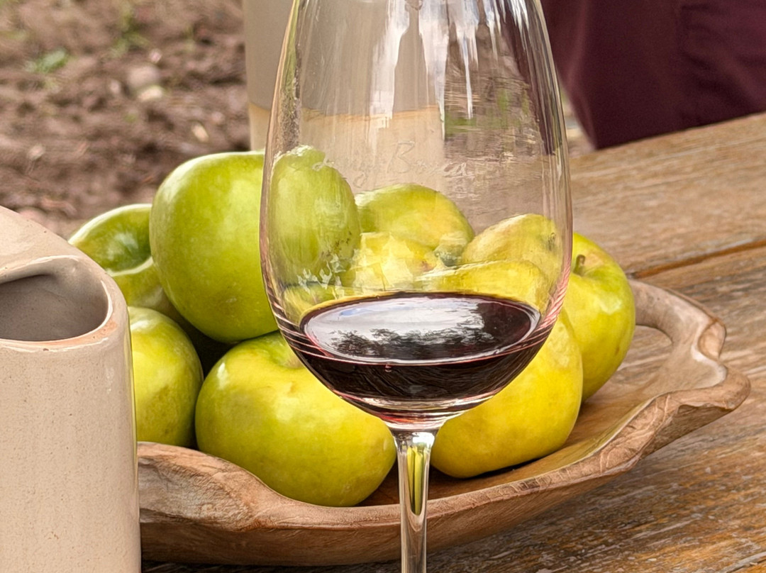 Finca El Paraíso - Bodega Luigi Bosca-Maipu必去景点