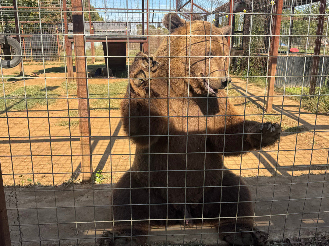 Safari Zoological Park-Caney必去景点