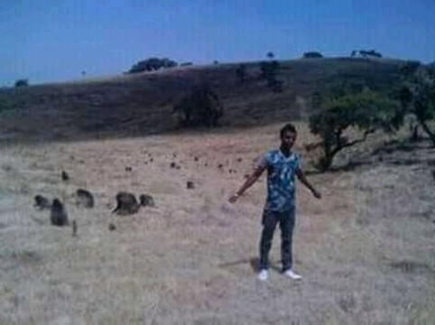 Ethio North Trekking-贡德尔必去景点