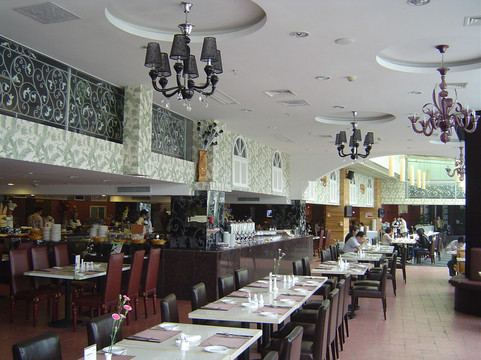 天鹅大酒店主图