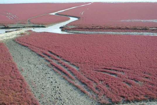 营口红海旅游区-盖州市必去景点