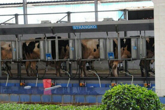 光明农场-深圳市必去景点