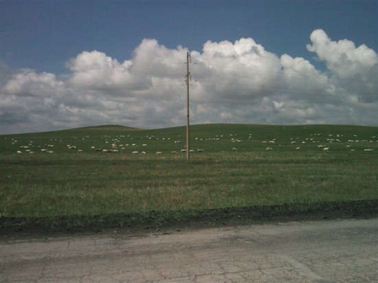 锡林郭勒赛马场