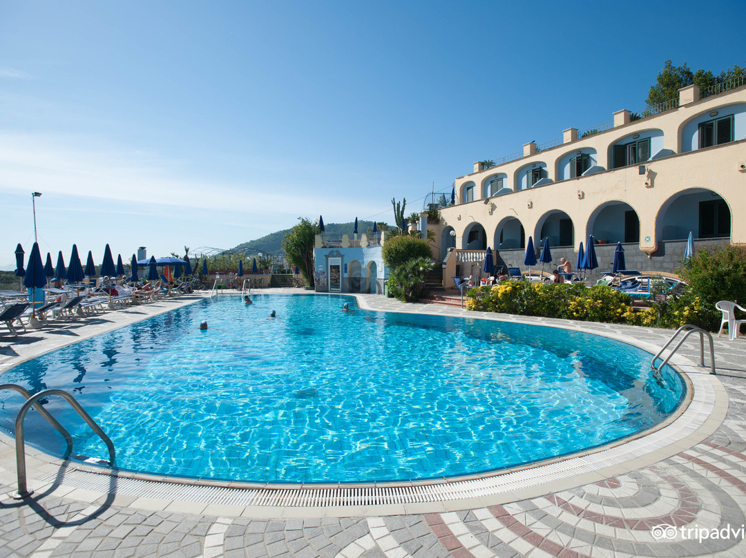 Hotel Terme President