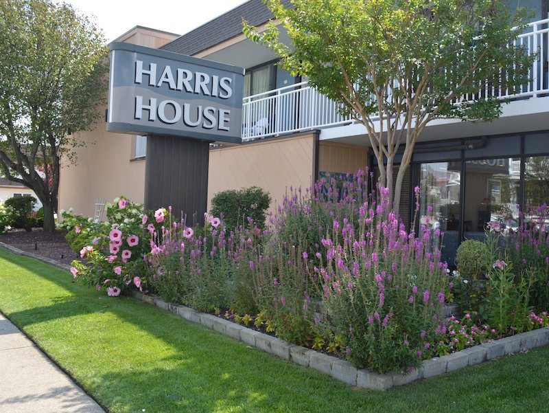 Harris House By The Beach-官方