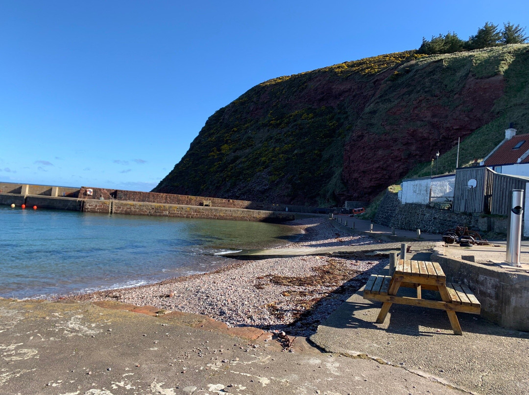 Pennan Harbour