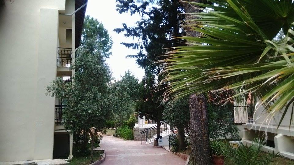 Petit Pan Club Hotel-官方