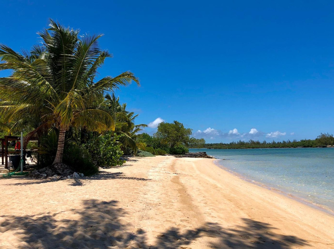 Andros旅游景点-Forfar Field Station