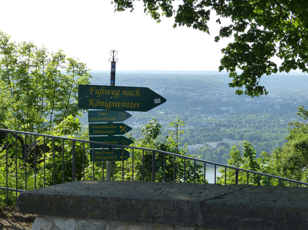 Burgruine Drachenfels