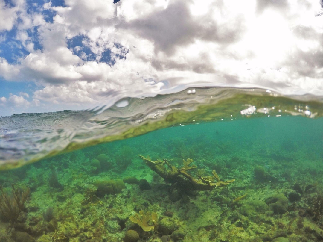 Green Cay-圣克鲁斯必去景点