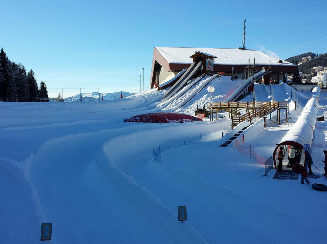 Tobogganing Park