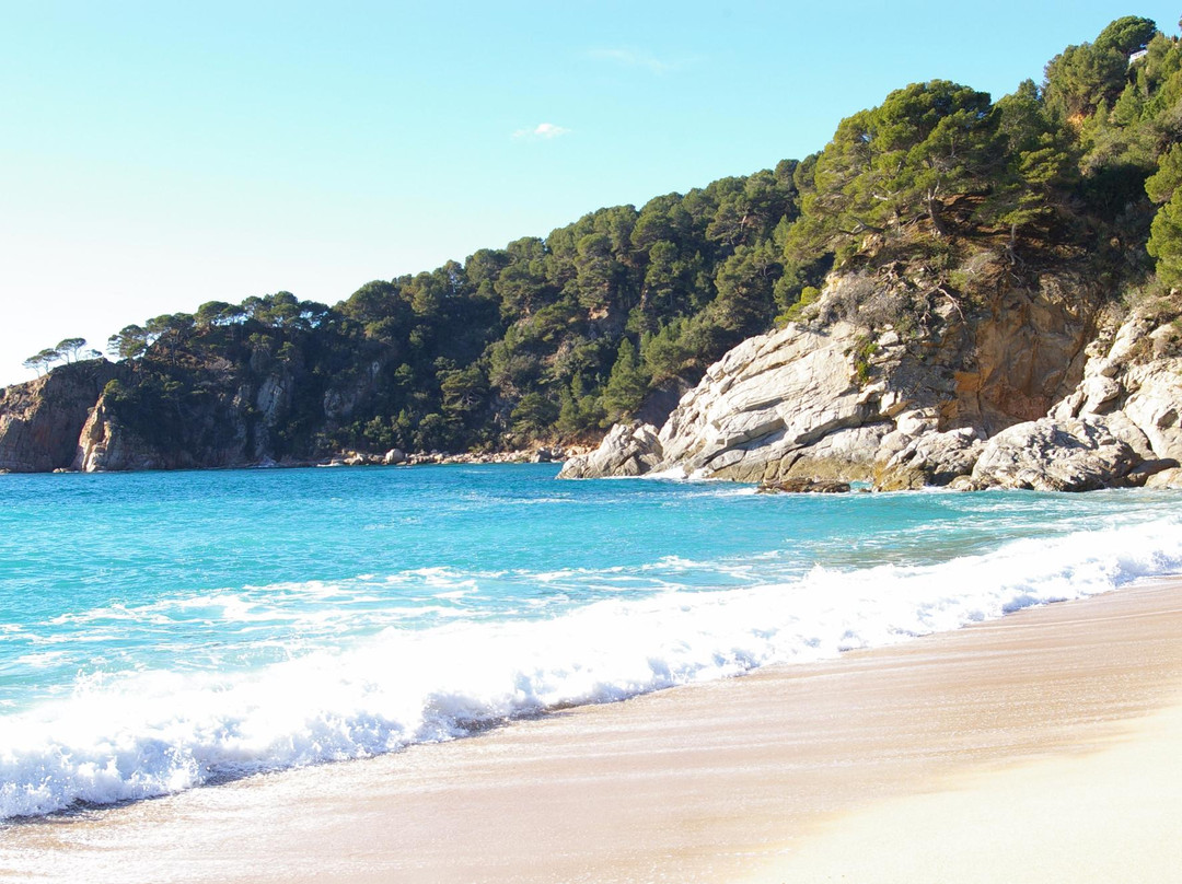 Playa Santa Maria de Llorell景点图片