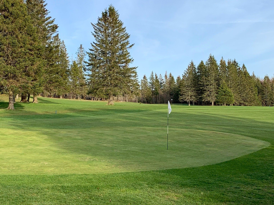 Midland Meadows Golf Course景点图片