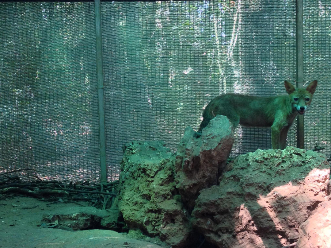 Martignano旅游景点-Museo di Storia Naturale del Salento