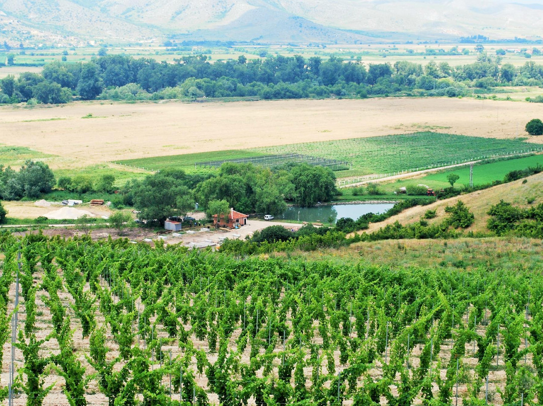 Bulgaria Wine Tours-普罗夫迪夫必去景点