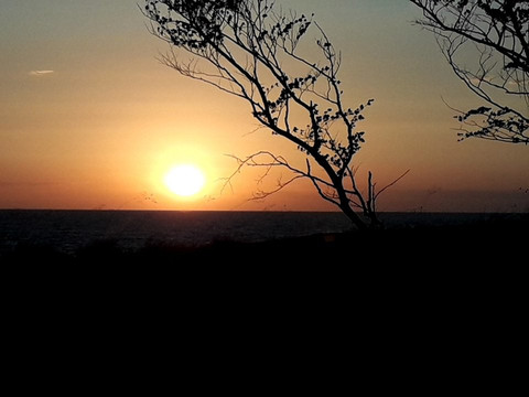 Poddabie旅游攻略图片