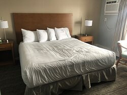 Hampton Village Inn主图