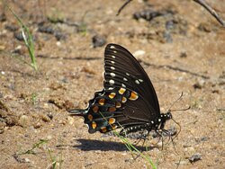 Brendan T. Byrne State Forest-New Lisbon必去景点