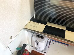 Pakiri Beach Horse Rides - Day Tours-韦尔斯福德必去景点