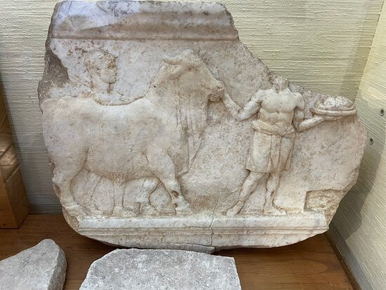 Ansedonia Citta Romana di Cosa景点图片