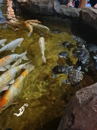 Oceanarium-喀山必去景点