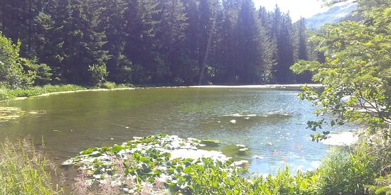Two Lakes Park-苏厄德必去景点