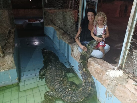 Crocodile Show-沙姆沙伊赫必去景点