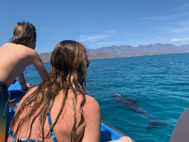 Loreto Coastal Expeditions Glass Bottom Boat景点图片