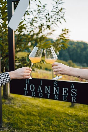 Hiša Joannes Protner Winery-Malecnik必去景点