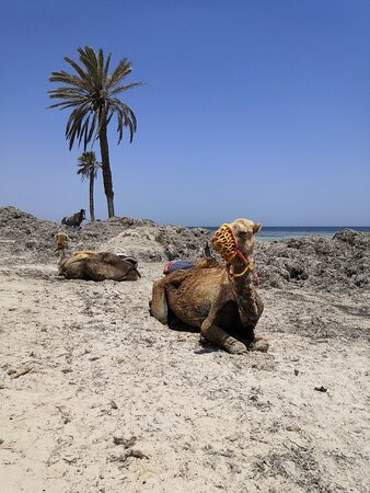 Odyssee Resort Thalasso & Spa主图