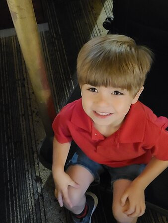 哈里斯堡赫尔希皇冠假日酒店主图