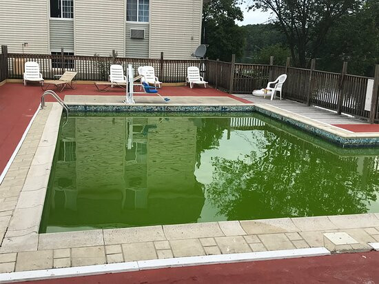 Super 8 by Wyndham Sturbridge主图