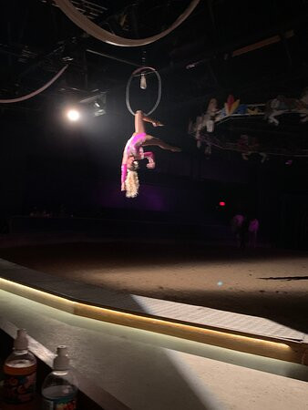 The Dancing Horses Theatre-Delavan必去景点