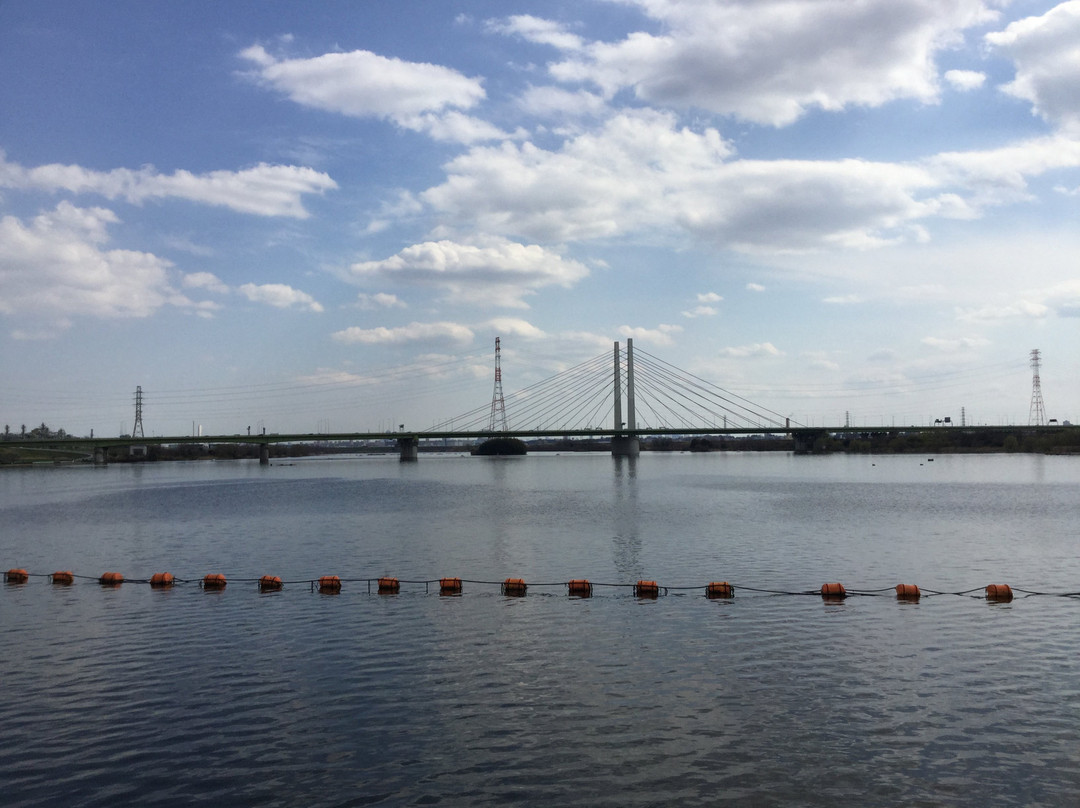 Sakitama Bridge景点图片