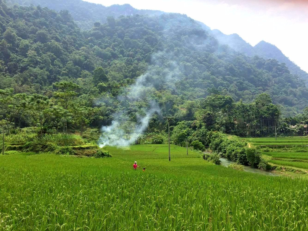 Pu Long Nature Reserve旅游攻略图片