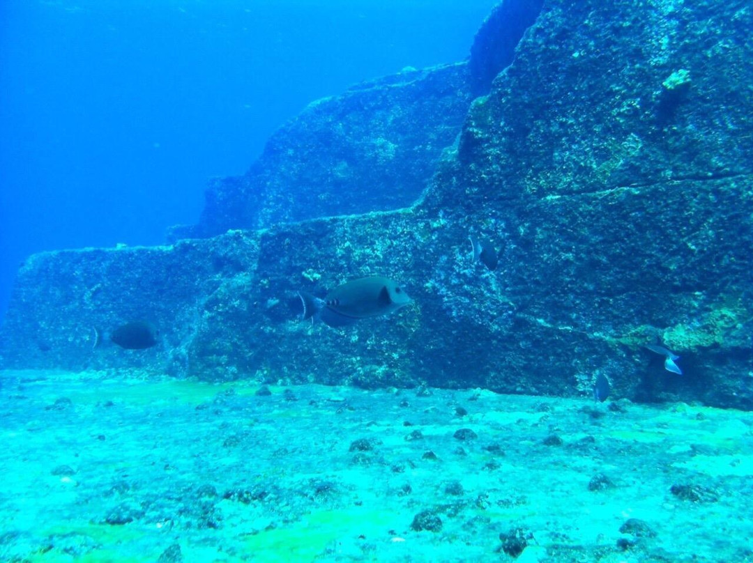 Submarine Remains景点图片