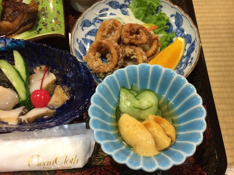 Okamoto Ryokan主图