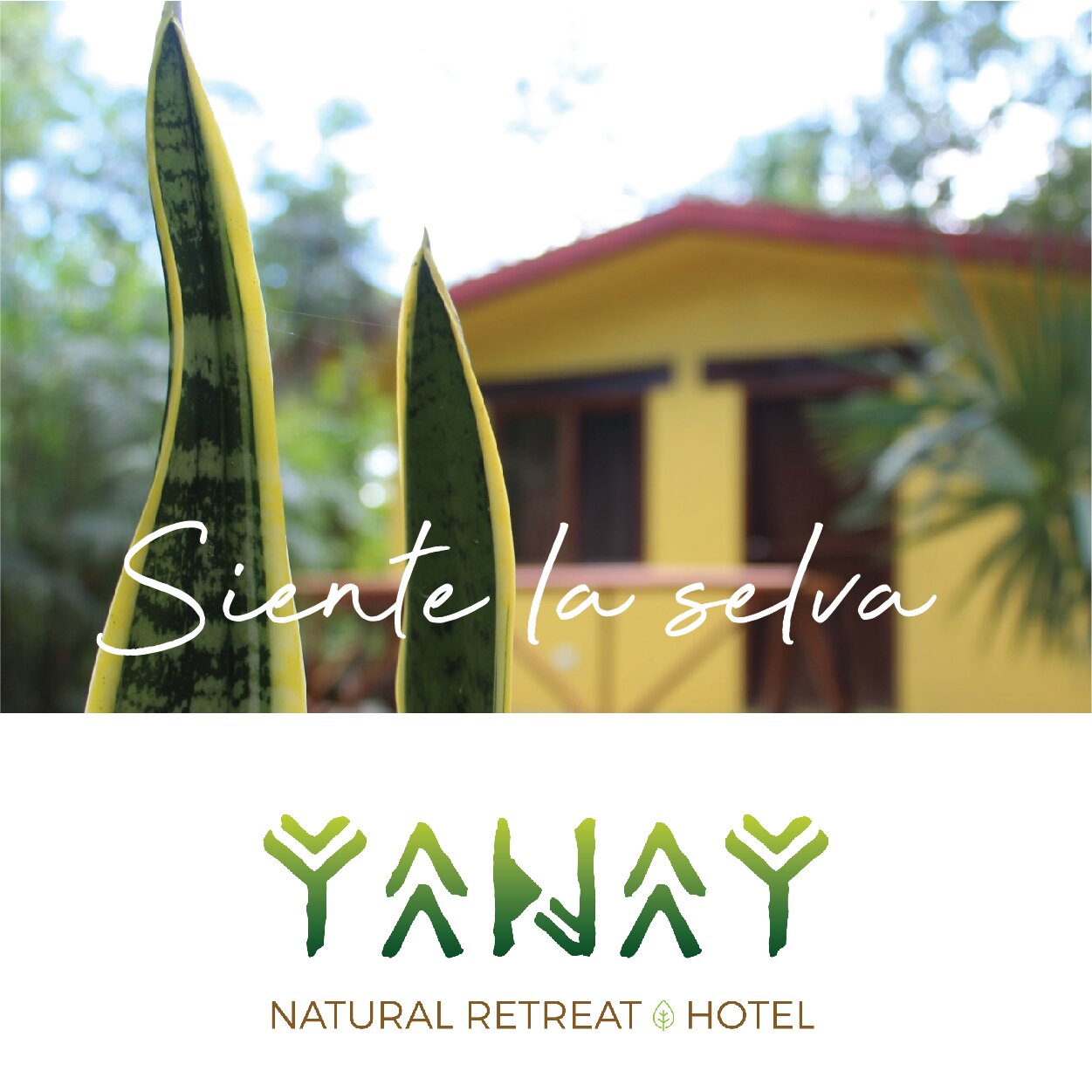 Yanay Natural Retreat Hotel-浴室
