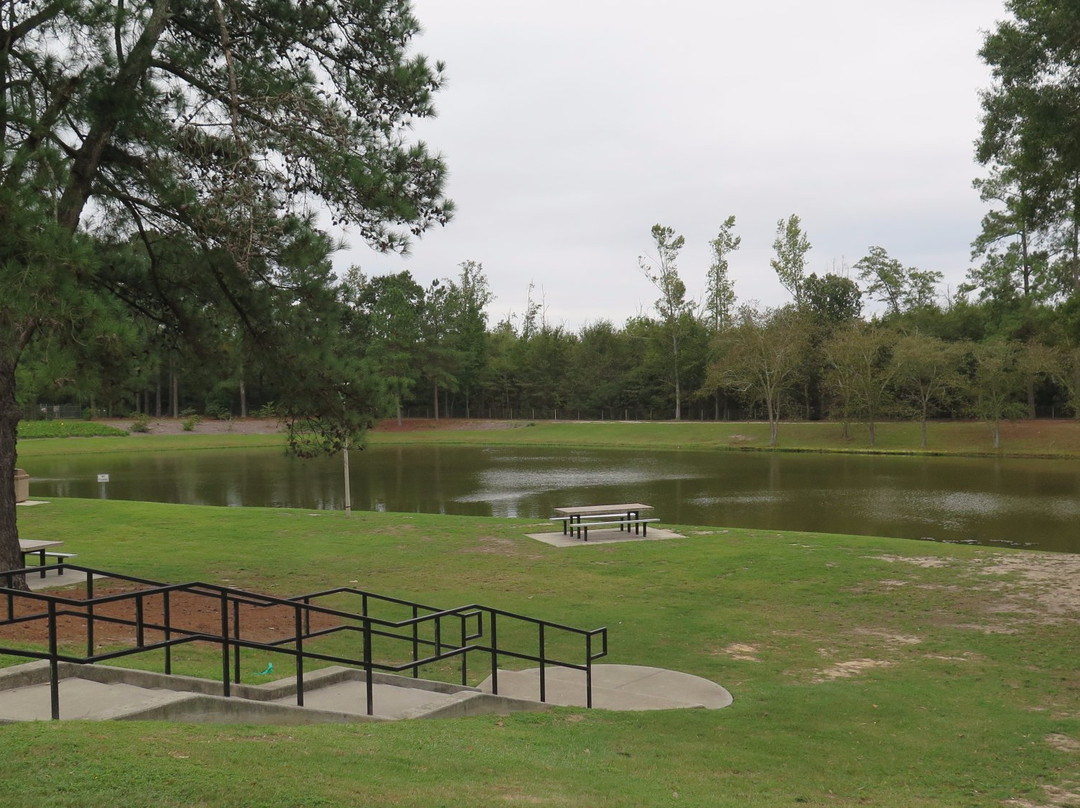 Rowland旅游攻略图片