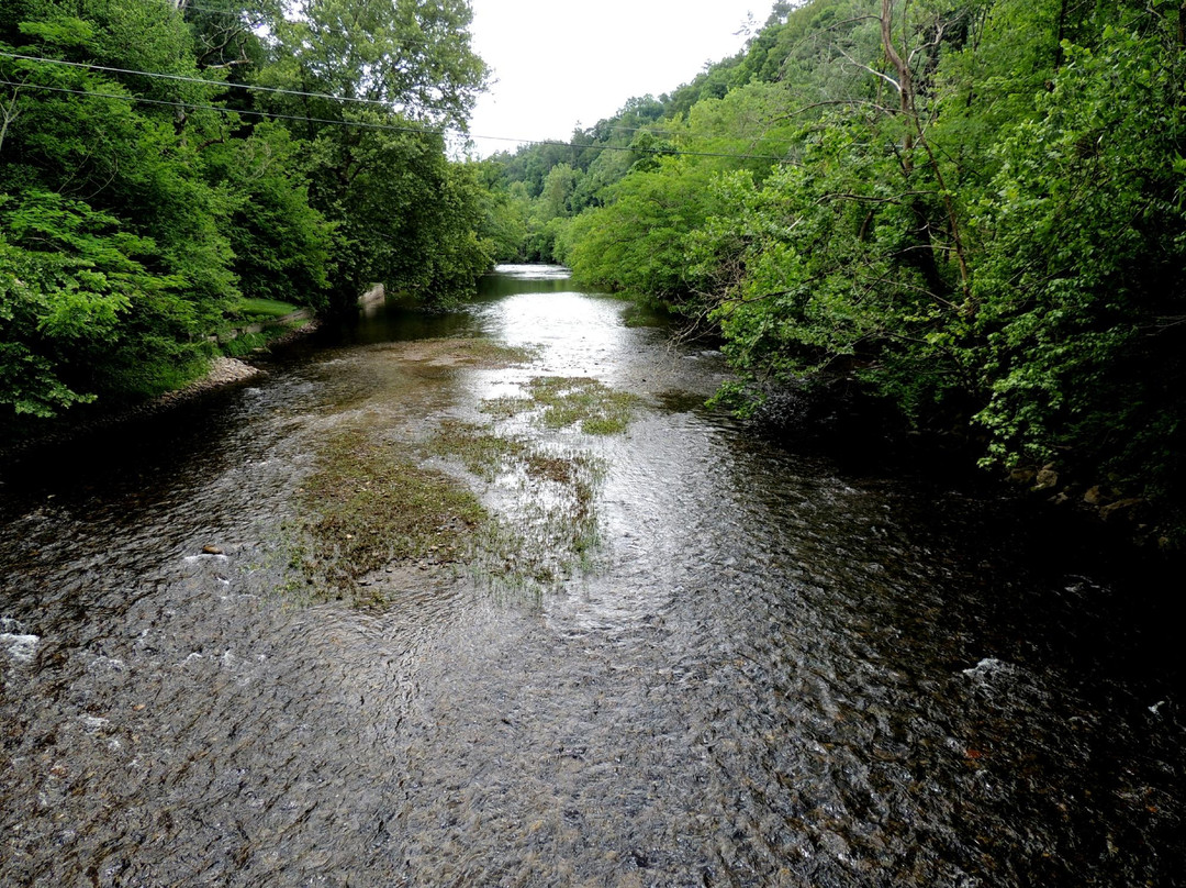 汤森旅游攻略图片