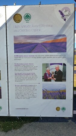 New Zealand Alpine Lavender Farm景点图片