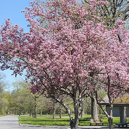 Onondaga Lake Park-Liverpool必去景点