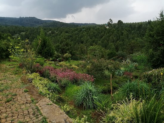 Gullele Botanical Garden-亚的斯亚贝巴必去景点
