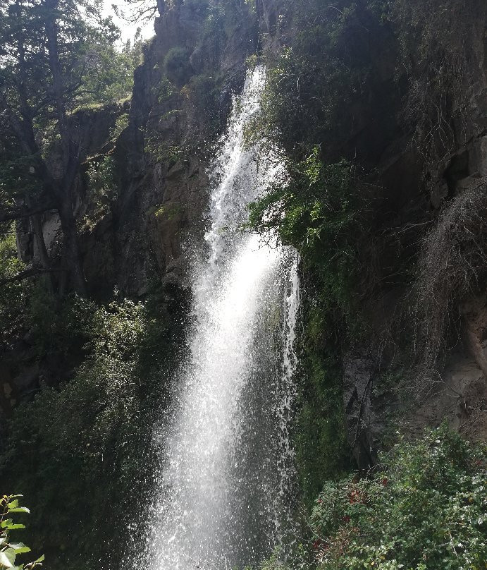 Parque Nacional Los Alerces景点图片