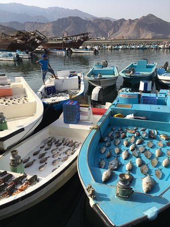 金色郁金香度假村主图