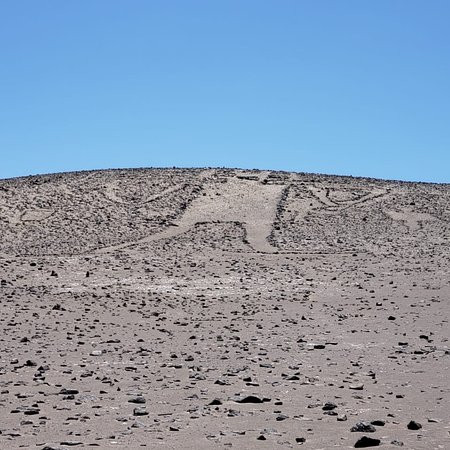 Gigante de Tarapaca景点图片