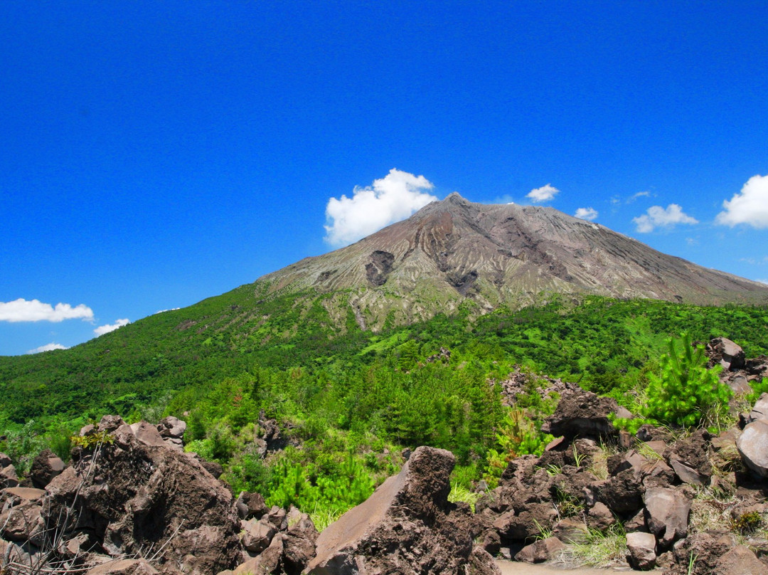 Arimura Lava Lookout景点图片