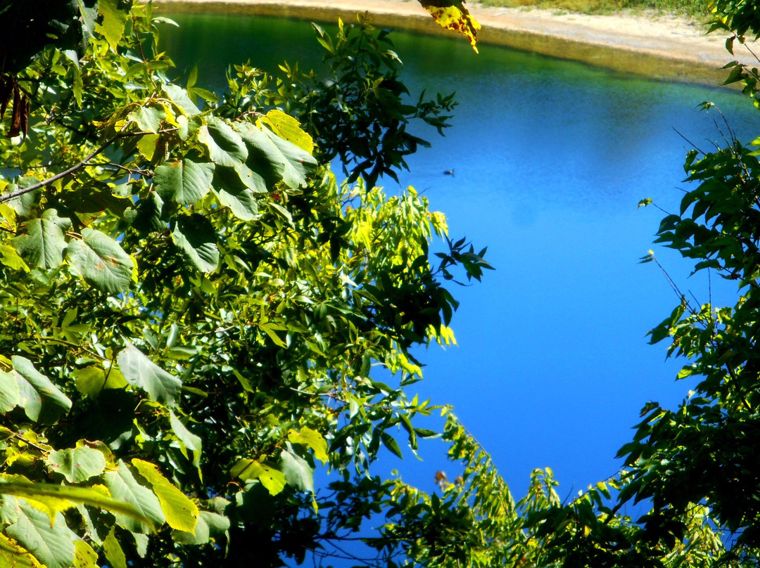 Clark Reservation State Park-Jamesville必去景点