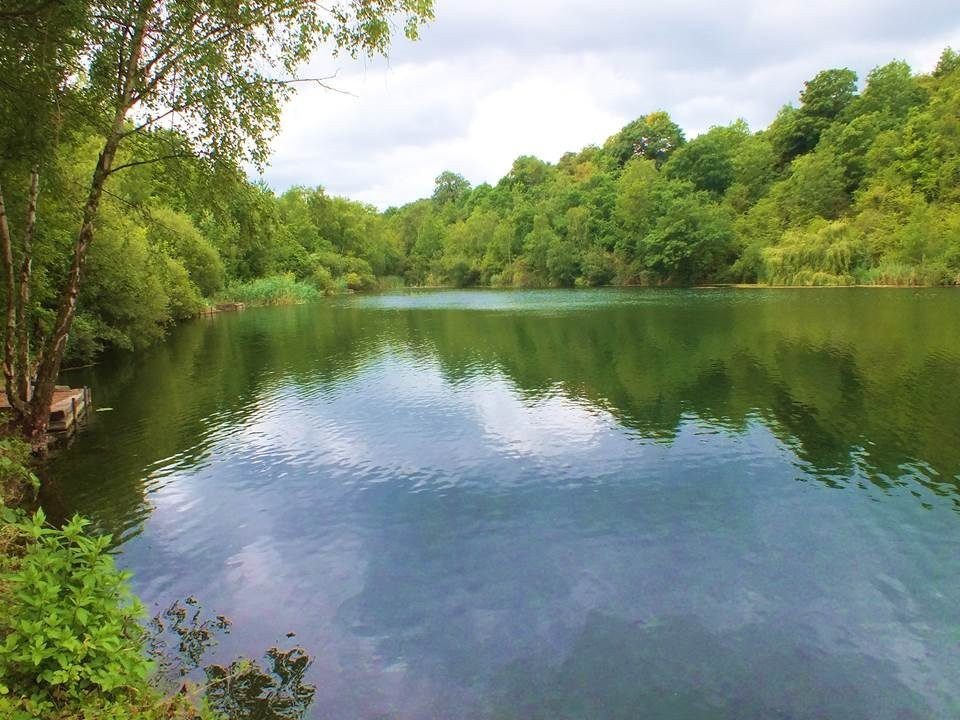 Essex Wildlife Trust Chafford Gorges Nature Park景点图片