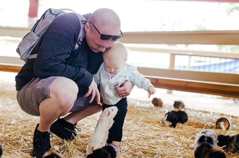 Zoomars at River Street Ranch-San Juan Capistrano必去景点